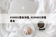 430001基金净值_4100003净值基金