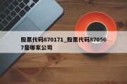 股票代码870171_股票代码870567是哪家公司