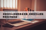 余额宝怎么查指数基金净值_余额宝怎么查指数基金净值收益