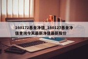 160172基金净值_160127基金净值查询今天最新净值最新股价