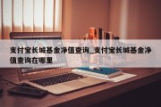 支付宝长城基金净值查询_支付宝长城基金净值查询在哪里