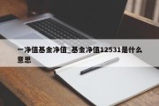 一净值基金净值_基金净值12531是什么意思