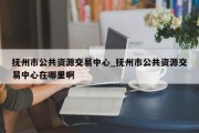 抚州市公共资源交易中心_抚州市公共资源交易中心在哪里啊