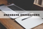 启明资本基金净值_启明资本基金净值查询