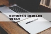 000379基金净值_000378基金净值查询今天