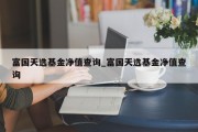 富国天选基金净值查询_富国天选基金净值查询