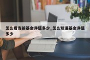 怎么看当前基金净值多少_怎么知道基金净值多少