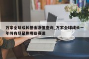 万家全球成长基金净值查询_万家全球成长一年持有期聚焦哪些赛道