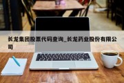 长龙集团股票代码查询_长龙药业股份有限公司