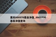 重庆000970基金净值_0001730基金净值查询