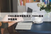 59001基金净值是多少_59001基金净值查询