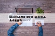 502008基金净值查询_502003基金净值查询