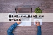 基金净值1.2306_基金净值12531是什么意思