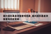 嘉兴成长基金净值查询系统_嘉兴成长基金净值查询系统官网