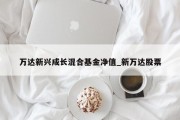 万达新兴成长混合基金净值_新万达股票