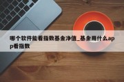 哪个软件能看指数基金净值_基金用什么app看指数