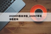 2020009基金净值_202009基金净值查询