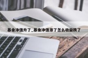 基金净值升了_基金净值涨了怎么收益跌了