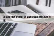 嘉实新材基金净值_嘉实新能源新材料基金净值