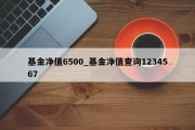 基金净值6500_基金净值查询1234567