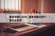 基金净值1.0291_基金净值10867是什么意思