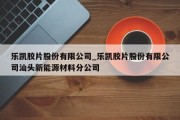 乐凯胶片股份有限公司_乐凯胶片股份有限公司汕头新能源材料分公司