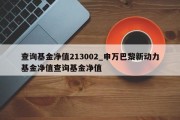 查询基金净值213002_申万巴黎新动力基金净值查询基金净值