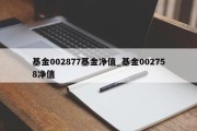 基金002877基金净值_基金002758净值