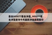 基金009877基金净值_009877基金净值查询今天最新净值最新股价