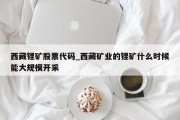 西藏锂矿股票代码_西藏矿业的锂矿什么时候能大规模开采