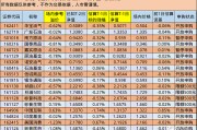 上海中概互联网基金净值(上海中概互联网基金净值查询)