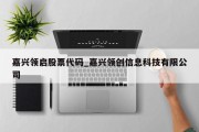 嘉兴领启股票代码_嘉兴领创信息科技有限公司