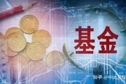 怎么看基金净值多少元宝(怎么看基金净值多少元宝啊)