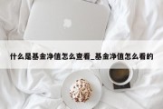 什么是基金净值怎么查看_基金净值怎么看的