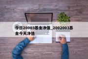 今日20003基金净值_2002003基金今天净值