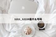 1211_12110是什么号码