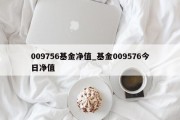 009756基金净值_基金009576今日净值