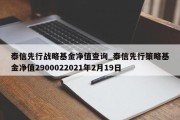 泰信先行战略基金净值查询_泰信先行策略基金净值2900022021年2月19日