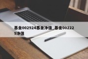 基金002924基金净值_基金002229净值