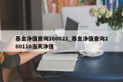 基金净值查询260022_基金净值查询260110当天净值