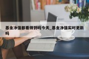 基金净值都看得到吗今天_基金净值实时更新吗