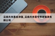 云南方舟基金净值_云南方舟壹号养老服务有限公司