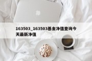 163503_163503基金净值查询今天最新净值