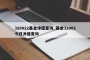 320022基金净值查询_基金32002今日净值查询