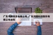 广东鸿图投资有限公司_广东鸿图科技股份有限公司百科