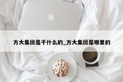 方大集团是干什么的_方大集团是哪里的