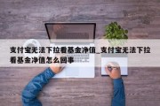 支付宝无法下拉看基金净值_支付宝无法下拉看基金净值怎么回事