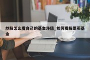 炒股怎么看自己的基金净值_如何看股票买基金