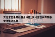 支付宝暂未开放基金净值_支付宝暂未开放基金净值怎么算