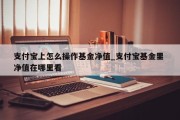 支付宝上怎么操作基金净值_支付宝基金里 净值在哪里看